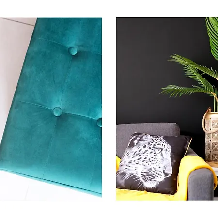 別荘 Infinity コスタ・テギセ